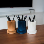 Set organizare RIBZ